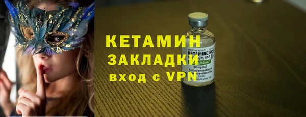 твердый Вяземский