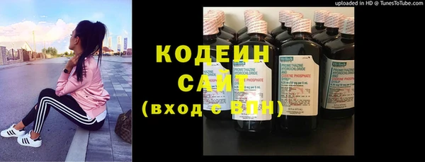 твердый Вяземский