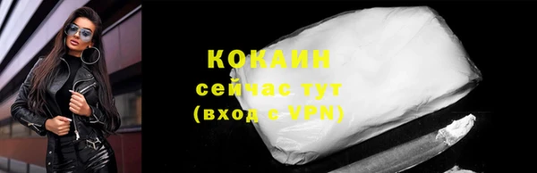 твердый Вяземский