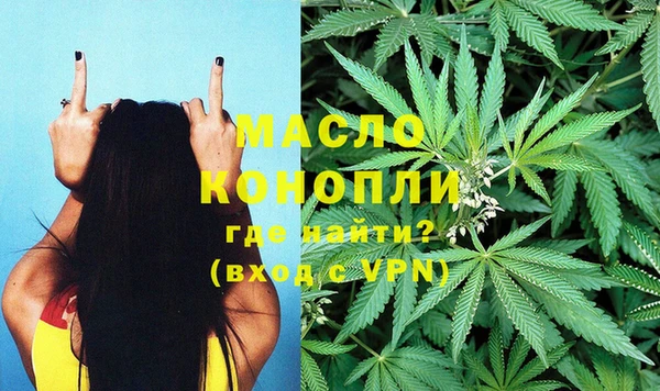 твердый Вяземский