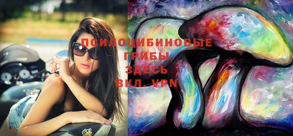 твердый Вяземский