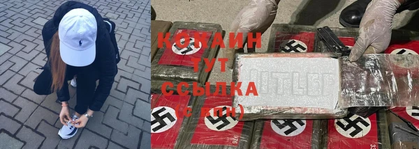 твердый Вяземский