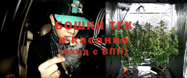 твердый Вяземский