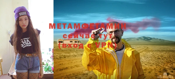 твердый Вяземский