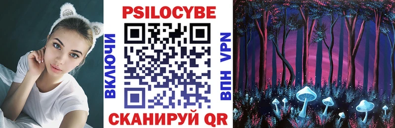 Псилоцибиновые грибы мицелий  Чекалин 